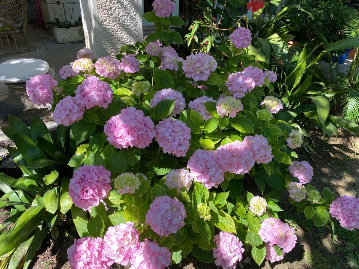 חוואר Terrace Apartment מראה חיצוני תמונה